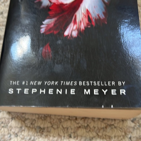New Moon paperback, book 2 of 4 in Twilight Saga by Stephanie Meyer - Picture 15 of 16